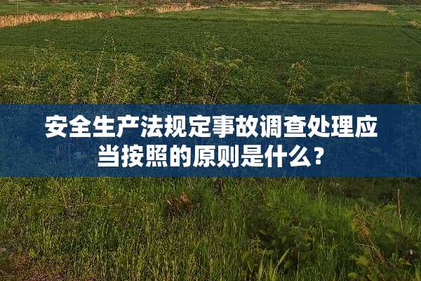 安全生产法规定事故调查处理应当按照的原则是什么？