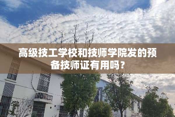 高级技工学校和**学院发的预备**证有用吗？