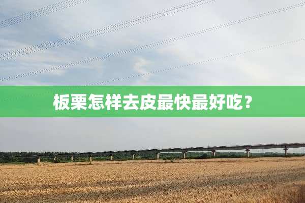 板栗怎样去皮最快最好吃？