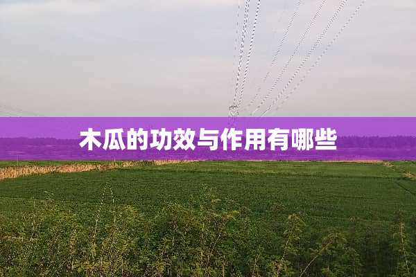 木瓜的功效与作用有哪些
