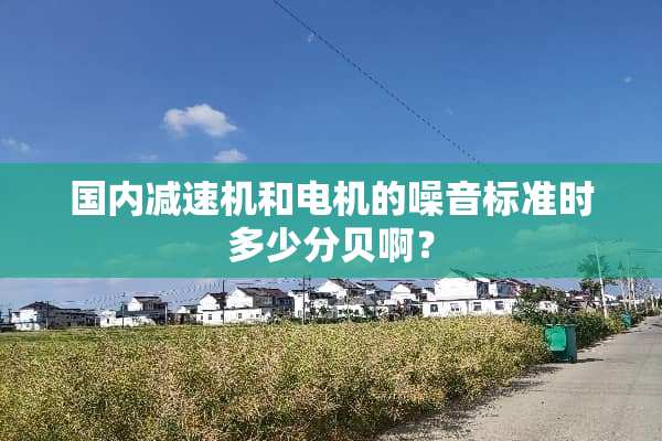 国内减速机和电机的噪音标准时多少分贝啊？