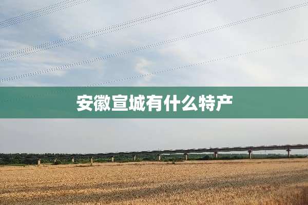 安徽宣城有什么特产