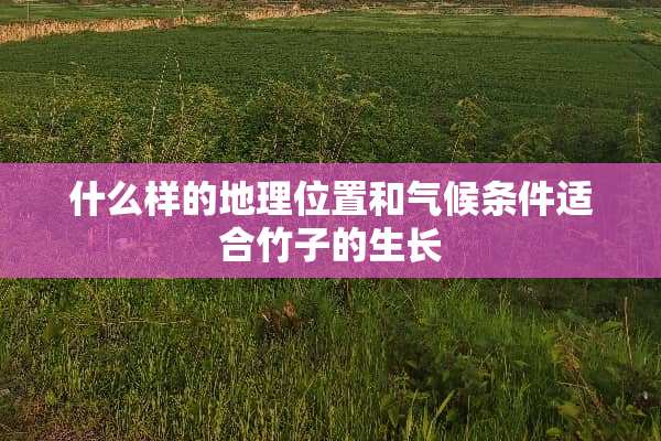 什么样的地理位置和气候条件适合竹子的生长