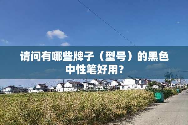 请问有哪些牌子（型号）的黑色中性笔好用？