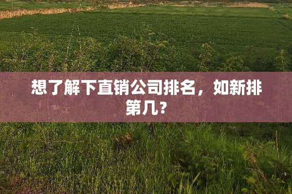 想了解下直销公司排名，如新排第几？