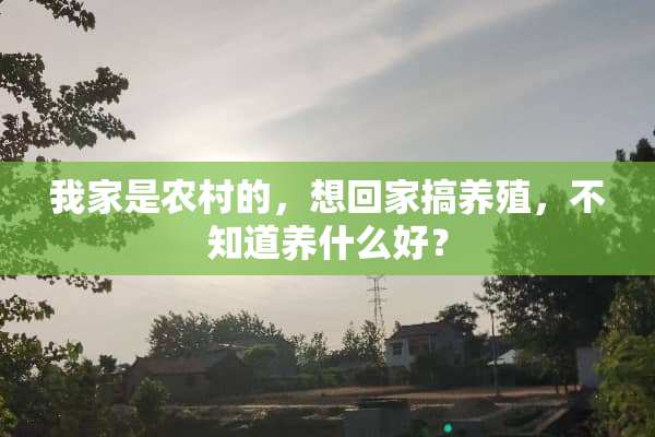 我家是农村的，想回家搞养殖，不知道养什么好？