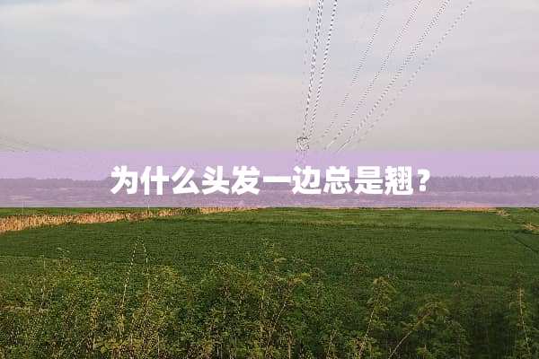 为什么头发一边总是翘？