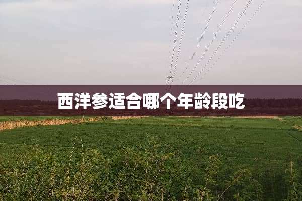 西洋参适合哪个年龄段吃