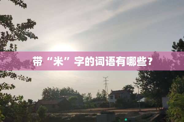 带“米”字的词语有哪些？