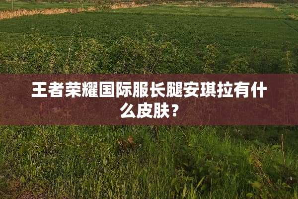 王者荣耀国际服长腿安琪拉有什么皮肤？
