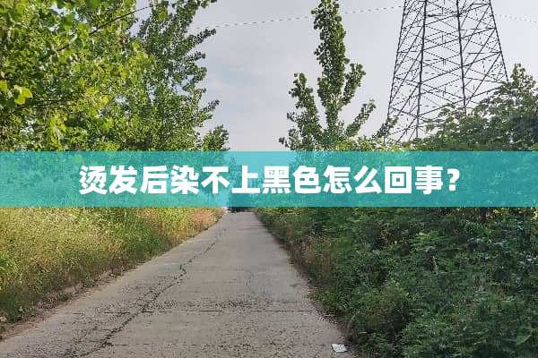 烫发后染不上黑色怎么回事？