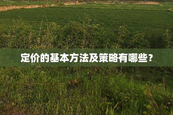 定价的基本方法及策略有哪些？