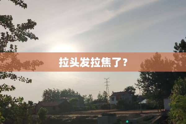 拉头发拉焦了？