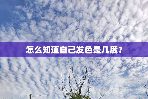 怎么知道自己发色是几度？