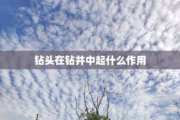 钻头在钻井中起什么作用