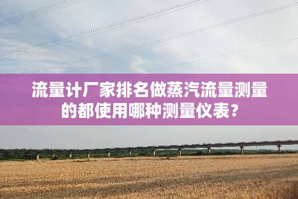 流量计厂家排名做蒸汽流量测量的都使用哪种测量仪表？