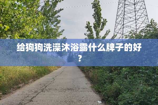 给狗狗洗澡沐浴露什么牌子的好？