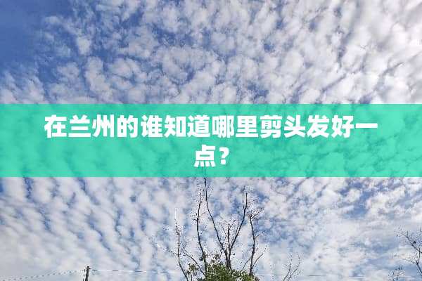 在兰州的谁知道哪里剪头发好一点？