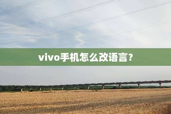 vivo手机怎么改语言？
