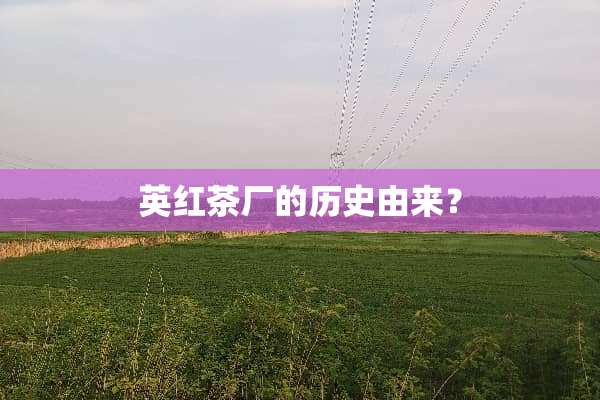 英红茶厂的历史由来？