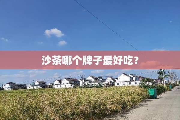 沙茶哪个牌子最好吃？