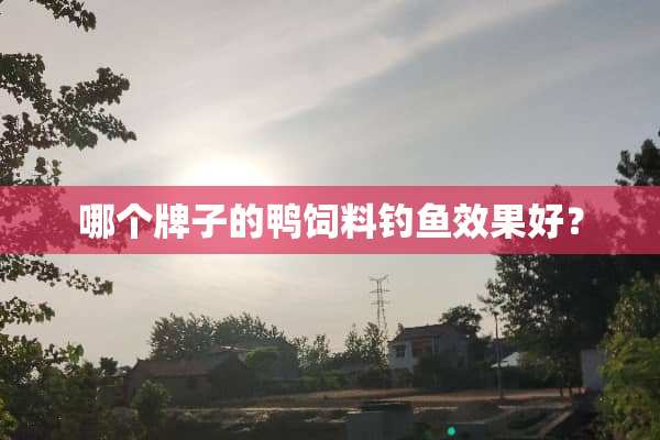 哪个牌子的鸭饲料钓鱼效果好？