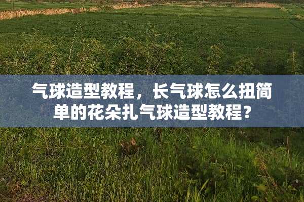 气球造型教程，长气球怎么扭简单的花朵扎气球造型教程？