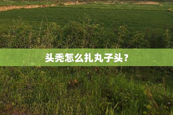 头秃怎么扎丸子头？