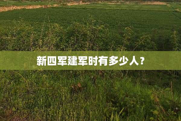 ***建军时有多少人？