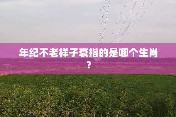年纪不老样子衰指的是哪个生肖？