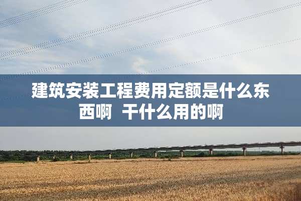 建筑安装工程费用定额是什么东西啊  干什么用的啊