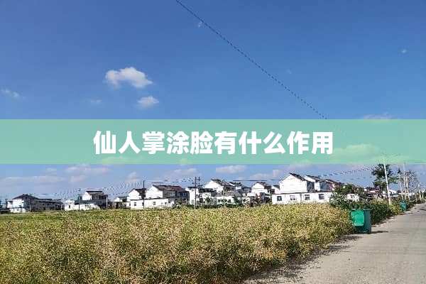 仙人掌涂脸有什么作用