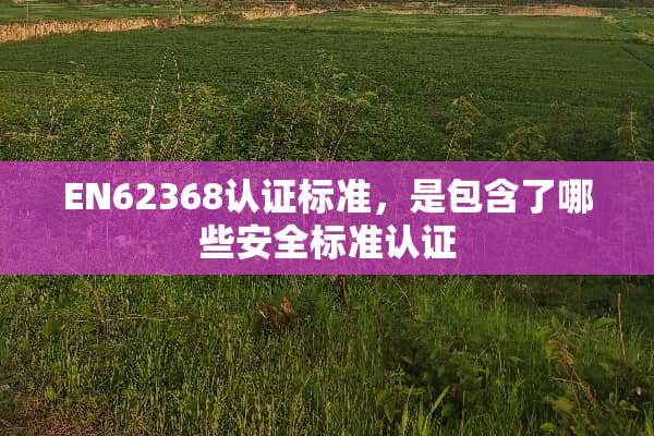 EN62368认证标准，是包含了哪些安全标准认证