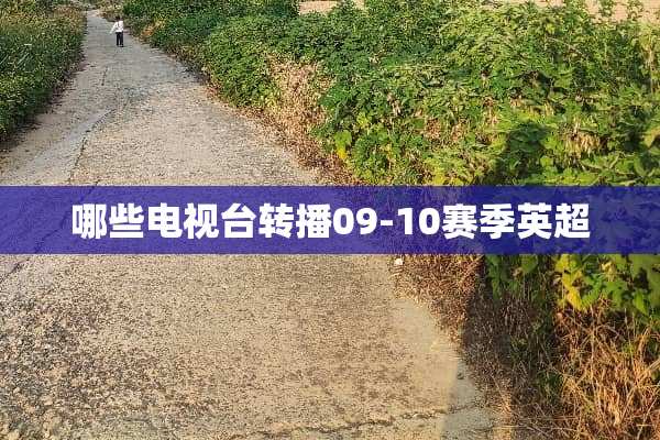 哪些电视台转播09-10赛季英超