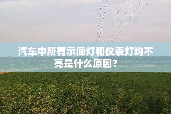 汽车中所有示廊灯和仪表灯均不亮是什么原因？