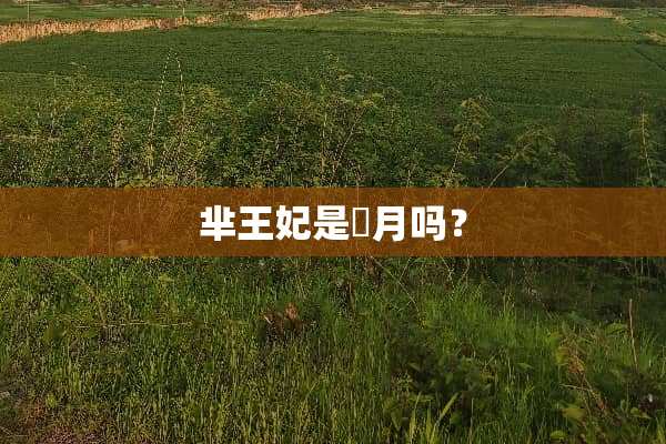 芈王妃是羋月吗？