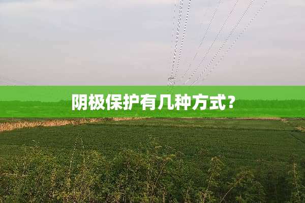 *极保护有几种方式？