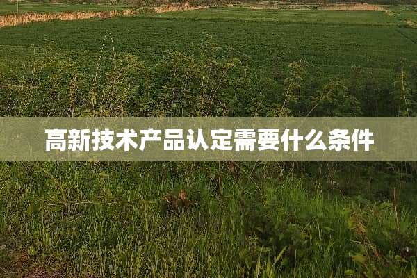 高新技术产品认定需要什么条件