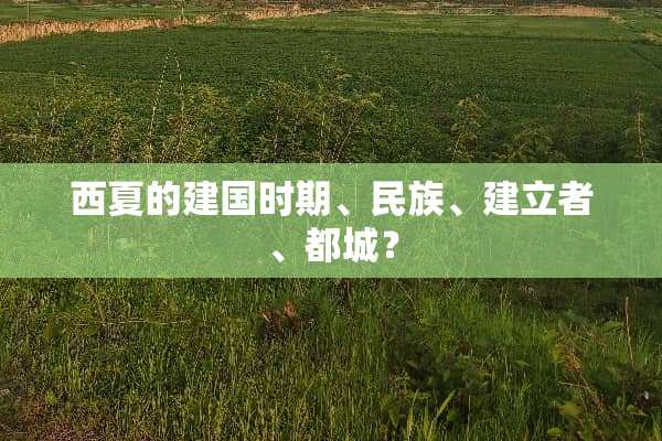 西夏的建国时期、民族、建立者、都城？