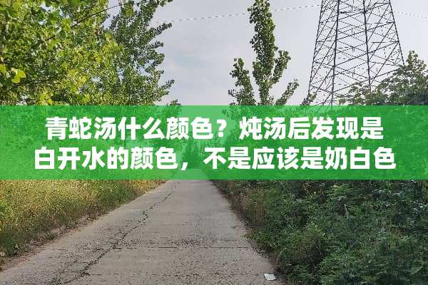 青蛇汤什么颜色？炖汤后发现是白开水的颜色，不是应该是奶白色吗？