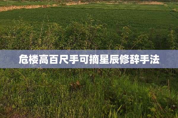危楼高百尺手可摘星辰修辞手法