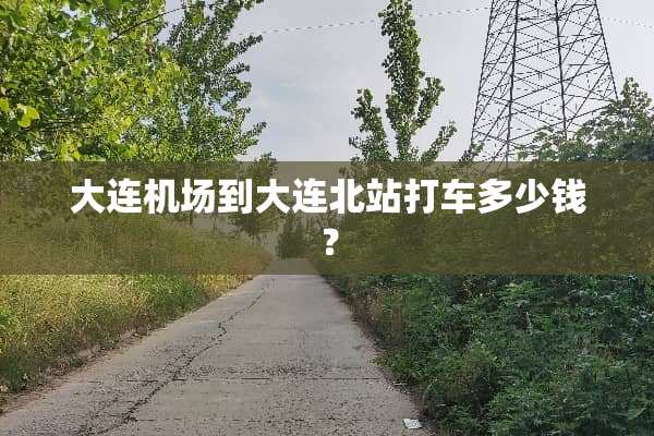 大连机场到大连北站打车多少钱？