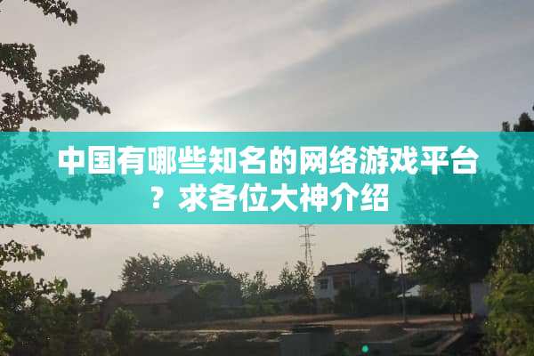 中国有哪些知名的网络游戏平台？求各位大神介绍