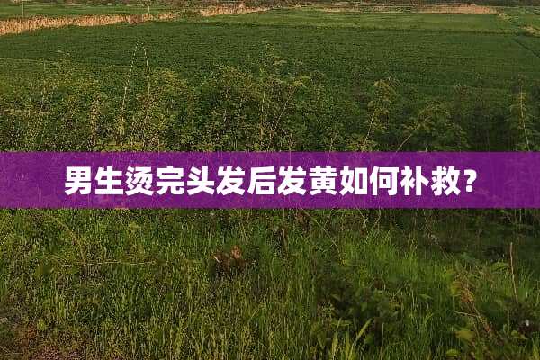男生烫完头发后发黄如何补救？