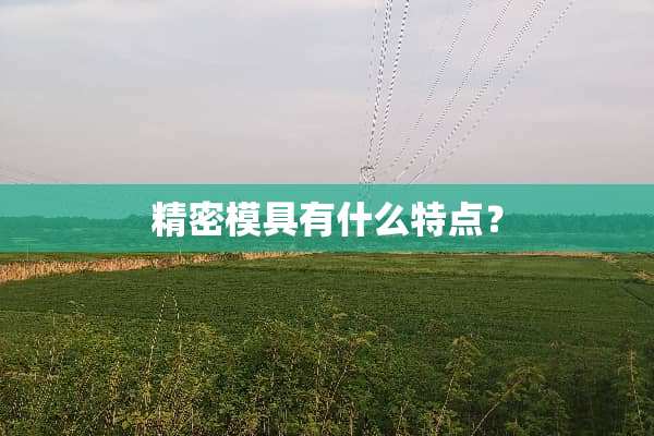 精密模具有什么特点？