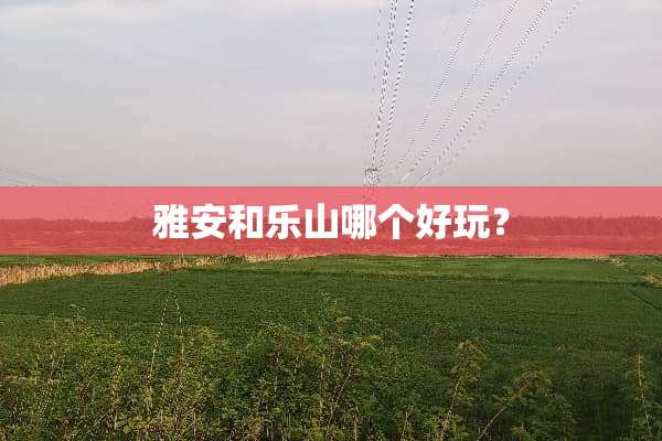 雅安和乐山哪个好玩？