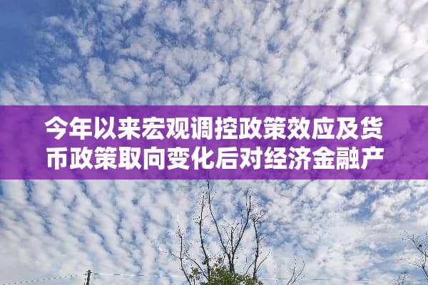 今年以来宏观调控政策效应及货币政策取向变化后对经济金融产生的影响