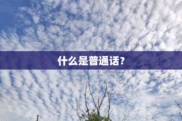 什么是普通话？