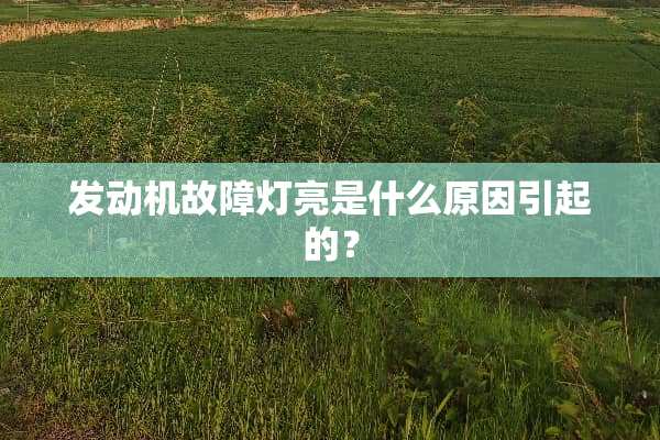 发动机故障灯亮是什么原因引起的？