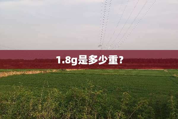1.8g是多少重？